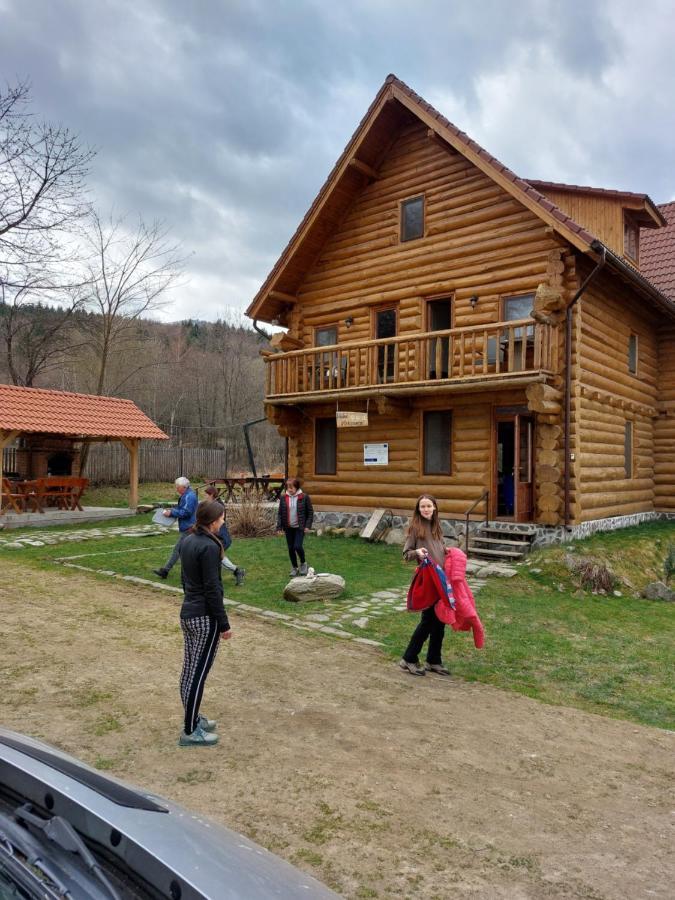 Valea Vistisoarei Βίλα Vistisoara Εξωτερικό φωτογραφία