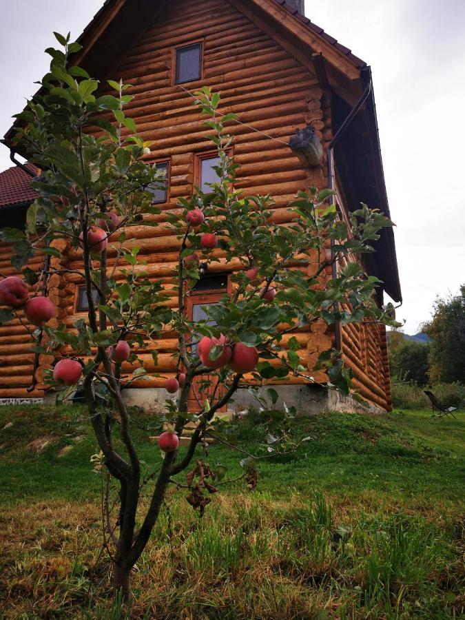 Valea Vistisoarei Βίλα Vistisoara Εξωτερικό φωτογραφία