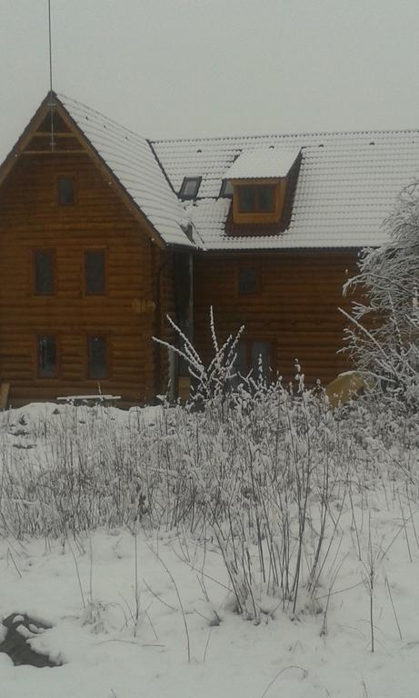 Valea Vistisoarei Βίλα Vistisoara Εξωτερικό φωτογραφία
