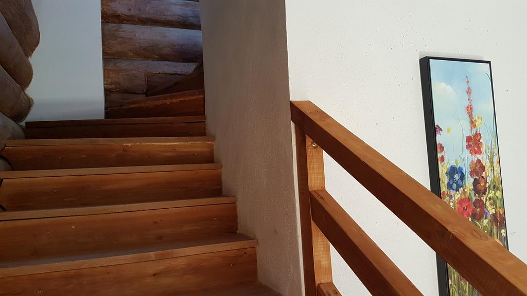 Valea Vistisoarei Βίλα Vistisoara Εξωτερικό φωτογραφία