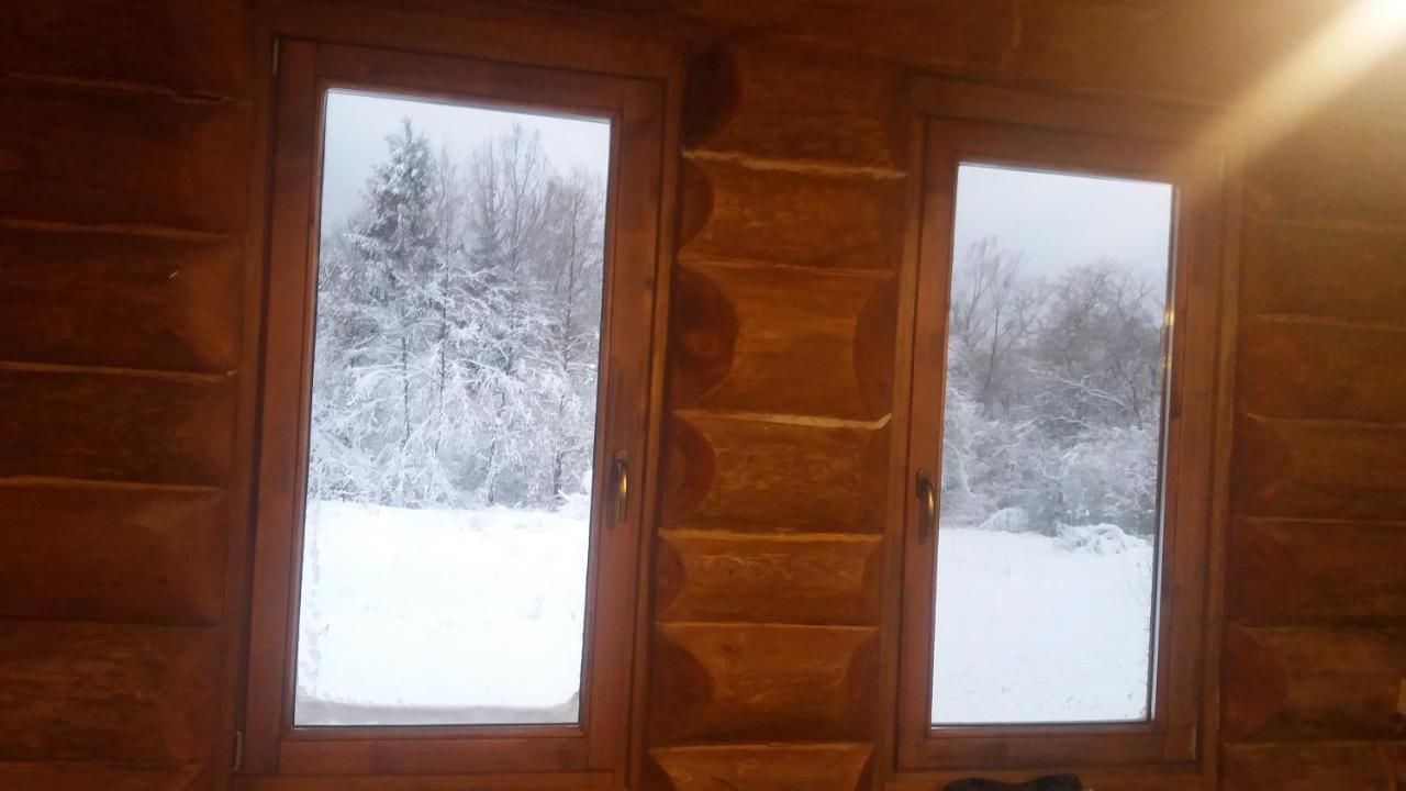 Valea Vistisoarei Βίλα Vistisoara Εξωτερικό φωτογραφία