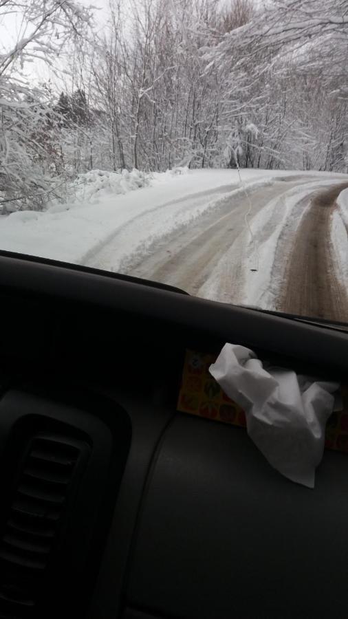Valea Vistisoarei Βίλα Vistisoara Εξωτερικό φωτογραφία