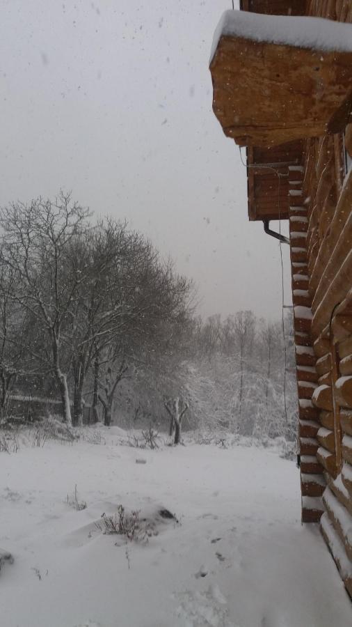 Valea Vistisoarei Βίλα Vistisoara Εξωτερικό φωτογραφία